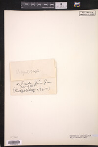 Image Associated With the Occurrence