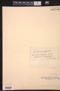 Image Associated With the Occurrence