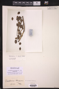Image Associated With the Occurrence