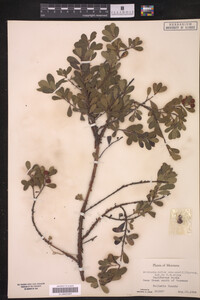 Image Associated With the Occurrence
