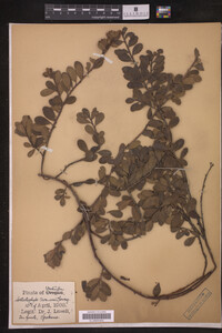 Image Associated With the Occurrence