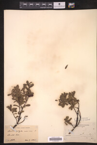 Image Associated With the Occurrence