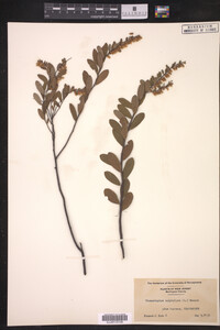 Image Associated With the Occurrence