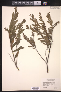 Image Associated With the Occurrence