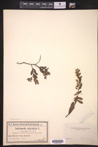 Image Associated With the Occurrence