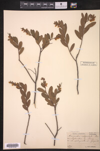 Image Associated With the Occurrence