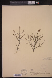 Image Associated With the Occurrence