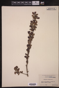 Image Associated With the Occurrence