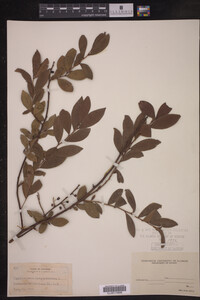 Image Associated With the Occurrence