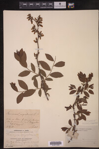 Image Associated With the Occurrence