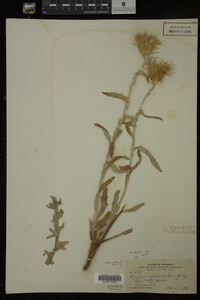 Image Associated With the Occurrence