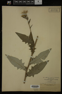Image Associated With the Occurrence