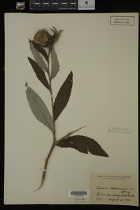 Image Associated With the Occurrence