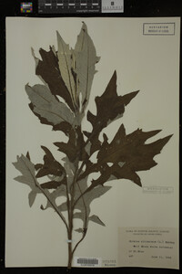 Image Associated With the Occurrence