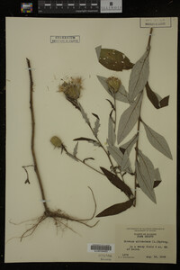 Image Associated With the Occurrence