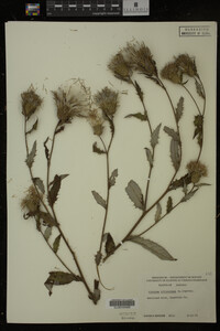 Image Associated With the Occurrence