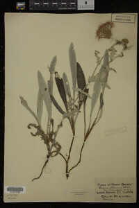 Image Associated With the Occurrence