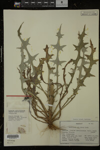 Image Associated With the Occurrence