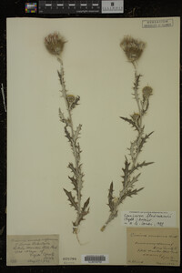 Image Associated With the Occurrence