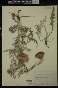 Image Associated With the Occurrence