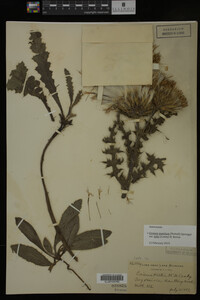 Image Associated With the Occurrence