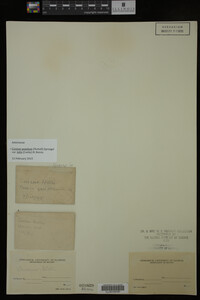 Image Associated With the Occurrence