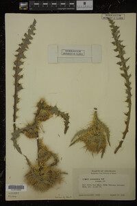 Image Associated With the Occurrence