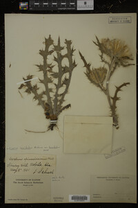 Image Associated With the Occurrence