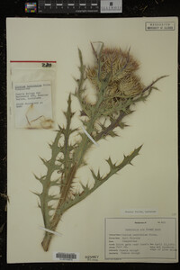 Image Associated With the Occurrence