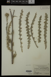 Image Associated With the Occurrence