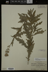 Image Associated With the Occurrence