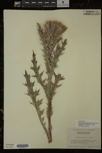 Image Associated With the Occurrence