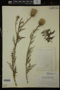 Image Associated With the Occurrence