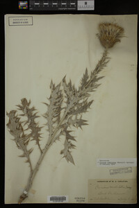 Image Associated With the Occurrence