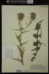 Image Associated With the Occurrence