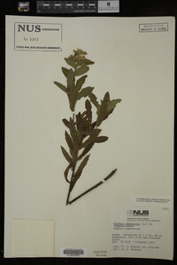 Image Associated With the Occurrence