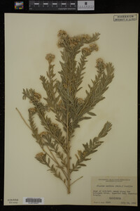 Image Associated With the Occurrence