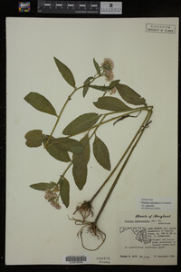 Image Associated With the Occurrence