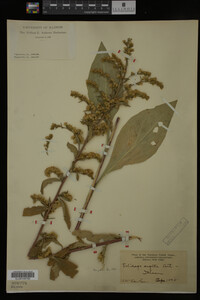 Image Associated With the Occurrence