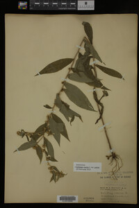 Image Associated With the Occurrence