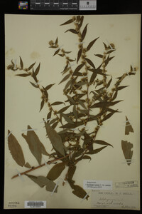Image Associated With the Occurrence