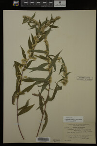 Image Associated With the Occurrence