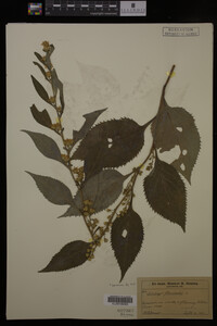 Image Associated With the Occurrence