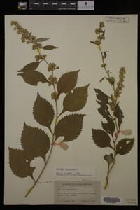 Image Associated With the Occurrence