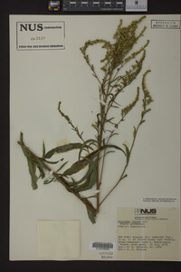 Image Associated With the Occurrence