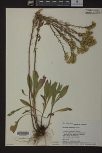 Image Associated With the Occurrence