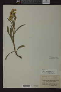 Image Associated With the Occurrence