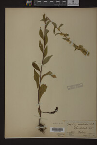 Image Associated With the Occurrence
