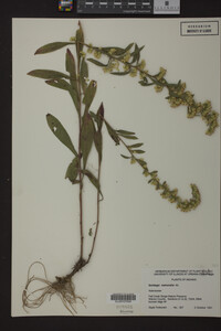 Image Associated With the Occurrence