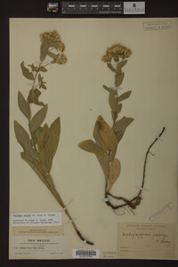 Image Associated With the Occurrence